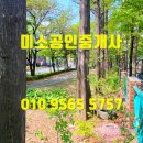 계산동 메타세콰이어 네이버블로그