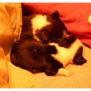 왕자와 공주 이미지