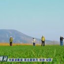 김호식농장 네이버블로그