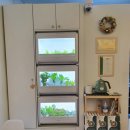 베르도네연신내 | 장한평 샐러드 맛집 <베르도네>-생연어🐟, 아보카도퓨레🥑, 페타치즈🧀 샐러드 후기