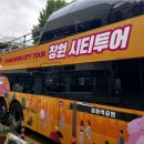 마산종합운동장 배드민턴장 | 창원 2층버스 시티투어 후기, 아이와 직접 타보니 생각보다 훨씬 좋았던 코스
