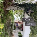 카페Tree트리 | 하이퐁 카페 추천 | 트리하우스(Tree House Cafe) 빈티지 감성 후기