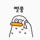 펀 휘트니스 | 쌍문헬스/쌍문역헬스 펀휘트니스 P.T받고 사람 된 후기