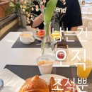 리오마트 | 로마 호텔 castro pretorio 카스트로 프레토리오 찐 후기