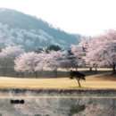제일회원권