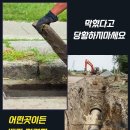 양지동 꿈나무 네이버블로그