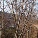 문학약수터 이미지