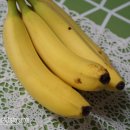 바나나 보관법 이미지