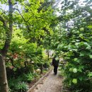 유메소바 | [인천] 유메소바돈카츠 계양산본점 후기