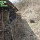 박암리 마을회관 이미지