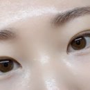 꼼꼼속눈썹 이미지