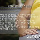 하하점핑클럽 네이버블로그