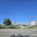 포항여객선터미널 | 울릉도 배편 예약 &amp; 포항-울릉도 크루즈 여객선 후기