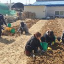민들레팜&기프트