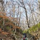 금바우골 이미지