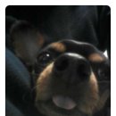 미니미니 이미지