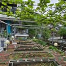 내서읍722 | 운치있던 창원카페, 마산카페 '카페랑스' 뷰맛집카페