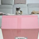 일동목장 | [육아용품 ] 맘스홀릭 돌쟁이 육아박스 후기｜구성부터 혜자였던 11월 육아박스 리뷰