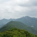 금강대학교(논산방면) Daum카페