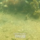 덕산매립장 이미지