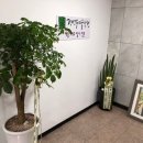 산꼭대기미술학원 - 강릉시 입암로 33 | 산꼭대기미술학원