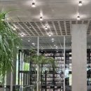 <전시> 희유민화전 | [아모레퍼시픽 미술관] 조선민화전 전시 후기