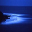 월광(Moon Light) Daum카페