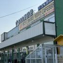 888 | 수원 실내 실외 애견카페 888애견놀이터 24시 대형견 가능 애견운동장 수영장 바베큐 후기