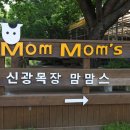 맘마목장 이미지