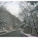 정이품그랜드 네이버블로그