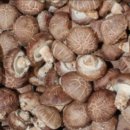 일건농장 이미지