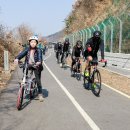 남한강자전거길 19 이미지