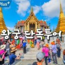 블루망고투어