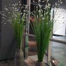 국민은행 모현지점 건너편 이미지