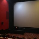 Little Women | 페라라, 잊혀진 르네상스의 숨결: 영화처럼 아름다운 시간 여행