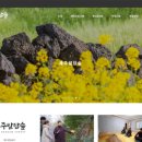 힐링 토마토 사우나 이미지