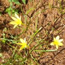 신상들은 더 이쁨 받는 게 인지상정이지요. 이미지