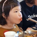 표선초등학교 이미지