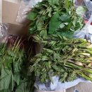 호두명가 이미지