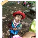 에코그린어린이집 이미지