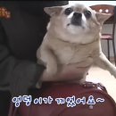 하이엔드핏 PT 이미지