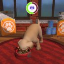 퍼피프렌즈 이미지