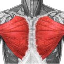이두메디 | [김해 재활 필라테스] 숨쉬기가 힘들어요~!큰가슴근(대흉근)경직