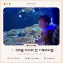 하루의첫행복 | 🐠 8개월 아기와 첫 아쿠아리움! 광교 아쿠아플라넷 솔직 후기
