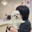 도그원동물의료센터 이미지