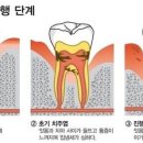 컬럼비아치과병원 이미지
