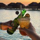 더 화이트벨리 | 몰디브 신혼여행 벨리간두 레스토랑 비치디너 플로팅조식 후기 (돈벨리 마디바루 랄루 총정리)