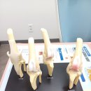 우리동물병원 이미지