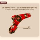 댕 빌리지 | 스타필드 하남 코카콜라 크리스마스 빌리지 예약 방법