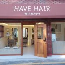 헤이브헤어